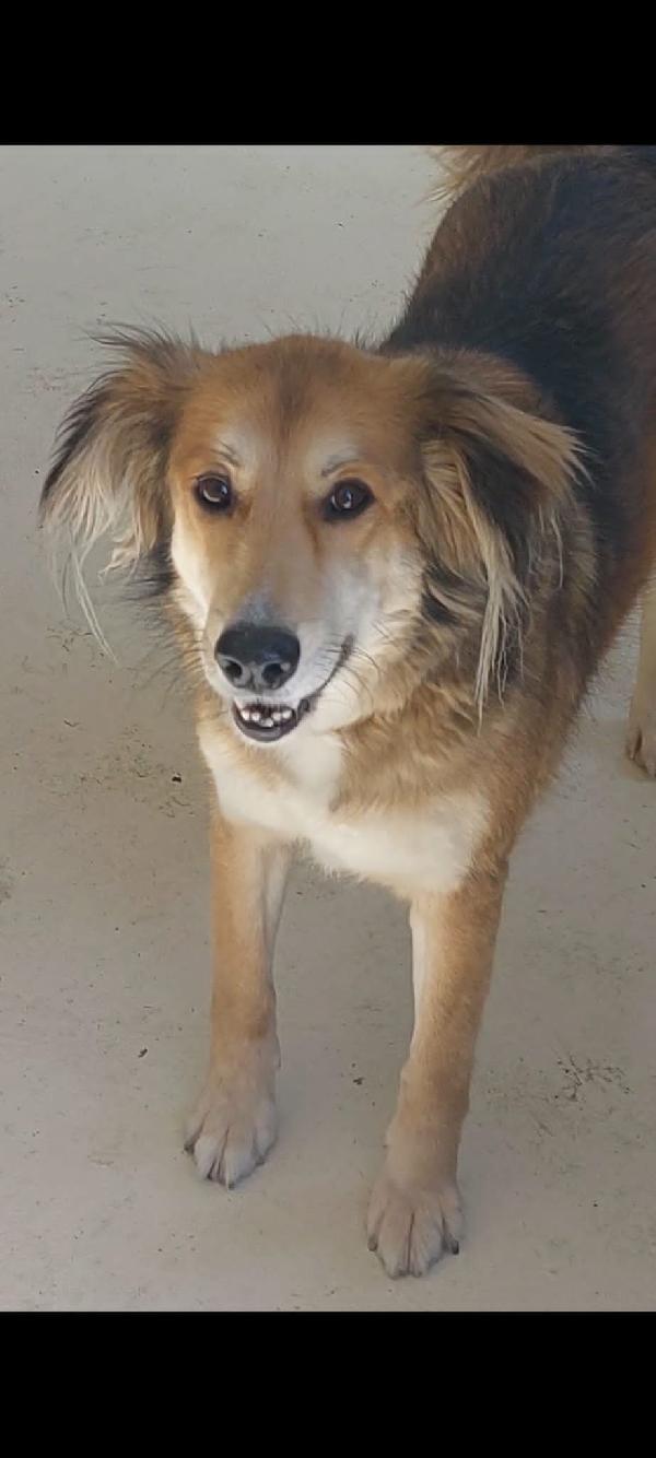 ✨ Maggie, la forza di chi ha conosciuto il dolore ma sogna solo amore ✨ Foto 2
